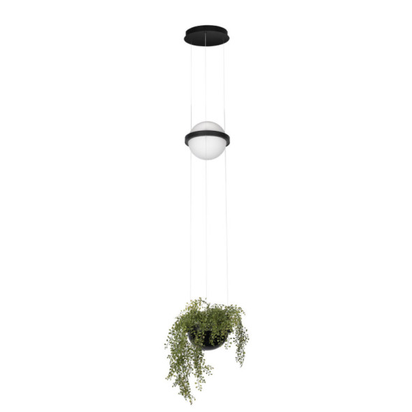 Подвесной светильник LOFT IT JARDIN 10121/B