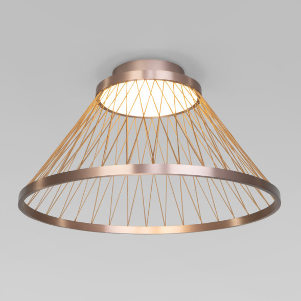 Потолочный светильник Eurosvet 40019/1 LED коричневый CESTA