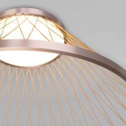 Потолочный светильник Eurosvet 40019/1 LED коричневый CESTA