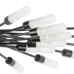 Потолочная люстра Lightstar RAGNO 732287