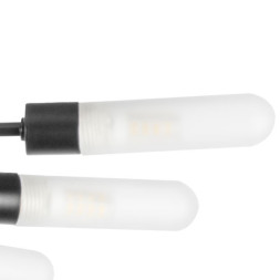 Потолочная люстра Lightstar RAGNO 732287