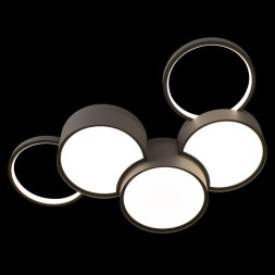 Потолочный светильник LOFT IT 10317/5 Grey