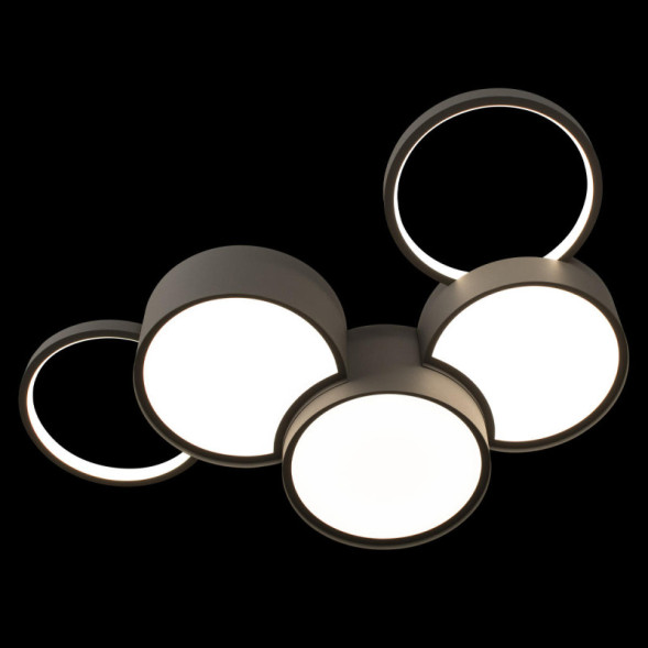 Потолочный светильник LOFT IT 10317/5 Grey