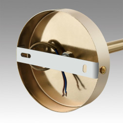 Люстра на штанге LUMION KASSIA 6586/10