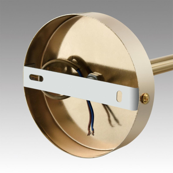 Люстра на штанге LUMION KASSIA 6586/10