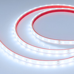 Лента Arlight RTW-PFS-A60-11mm 2835 034180 24W 24V белый (холодный) IP68