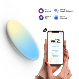 Потолочный светильник Gauss SmartHome 2060112