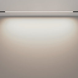 Магнитный трековый светильник Maytoni Technical BASIS TR030-2-30W4K-B