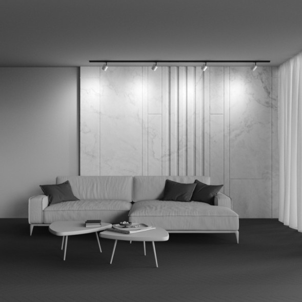 Трековый светильник Maytoni Technical POLAR TR088-1-GX53-MG