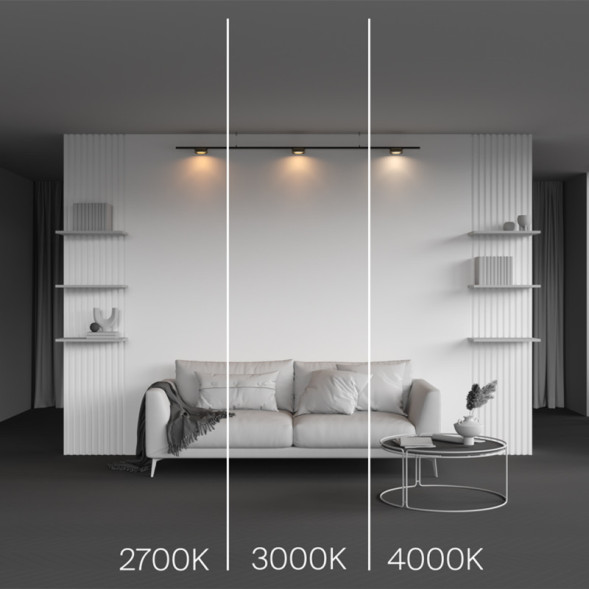 Магнитный трековый светильник Maytoni Technical Zon TR189-1-12W4K-BBS