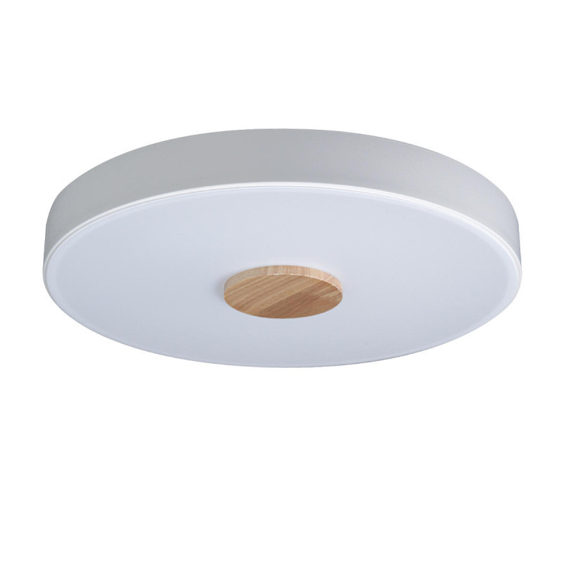 Потолочный светильник LOFT IT AXEL 10003/24 White