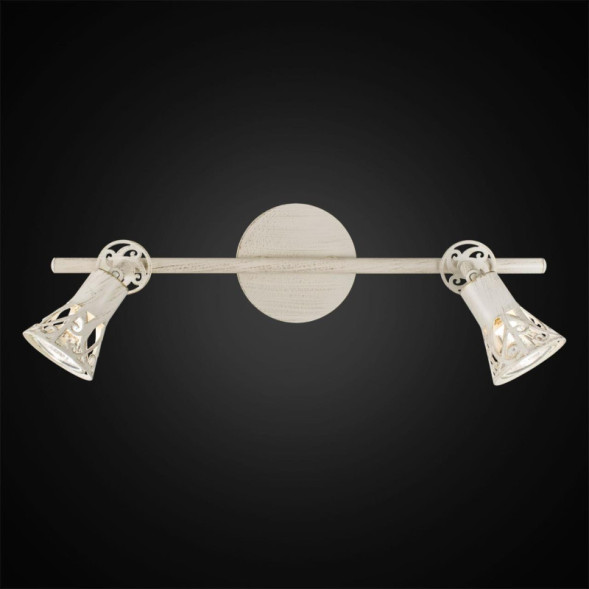 Спот Citilux Винон CL519525