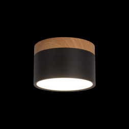 Детский точечный светильник LOFT IT Grape 10162 Black