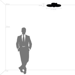 Потолочный светильник Lightstar Breve 749084