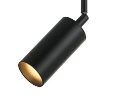 Спот Kink Light 07621-1,19 Рия