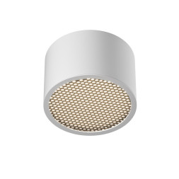 Точечный влагозащищенный светильник Maytoni Technical Glare C122CL-GX53-W