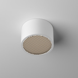 Точечный влагозащищенный светильник Maytoni Technical Glare C122CL-GX53-W