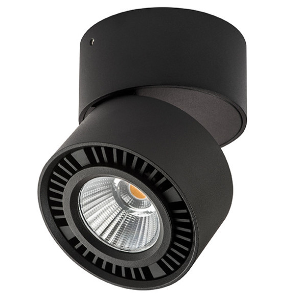 Накладной точечный светильник Lightstar FORTE MURO 214817