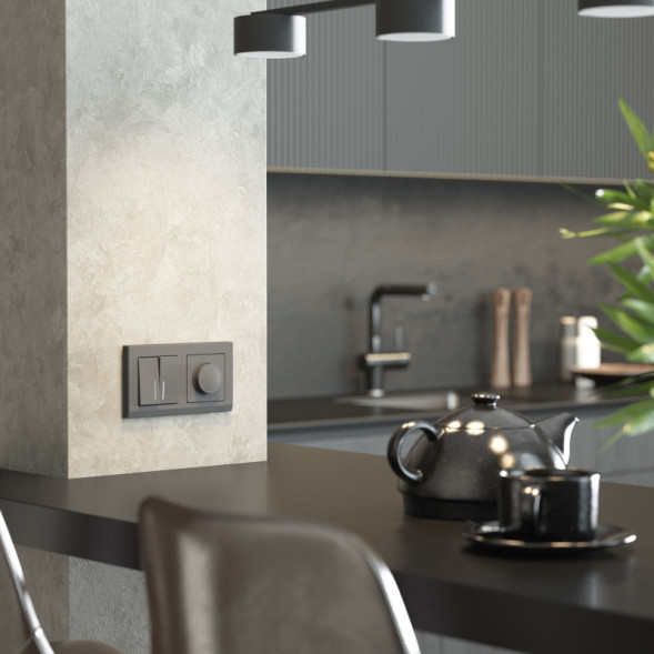 Диммер Werkel W1142064