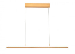 Подвесной светильник Vele Luce Futuro VL7224P01