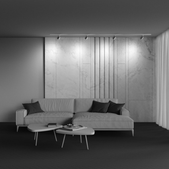 Трековый светильник Maytoni Technical POLAR TR088-1-GX53-S