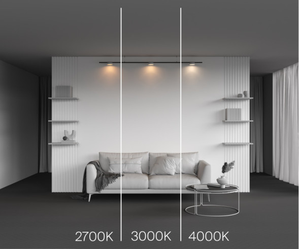 Магнитный трековый светильник Maytoni Technical Zon TR189-1-12W4K-BW