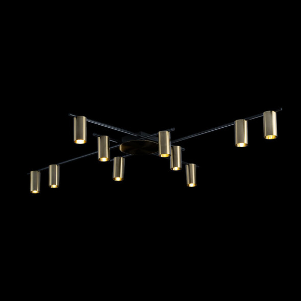 Потолочная люстра LOFT IT Tribes 8120C-10