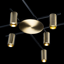 Потолочная люстра LOFT IT Tribes 8120C-10