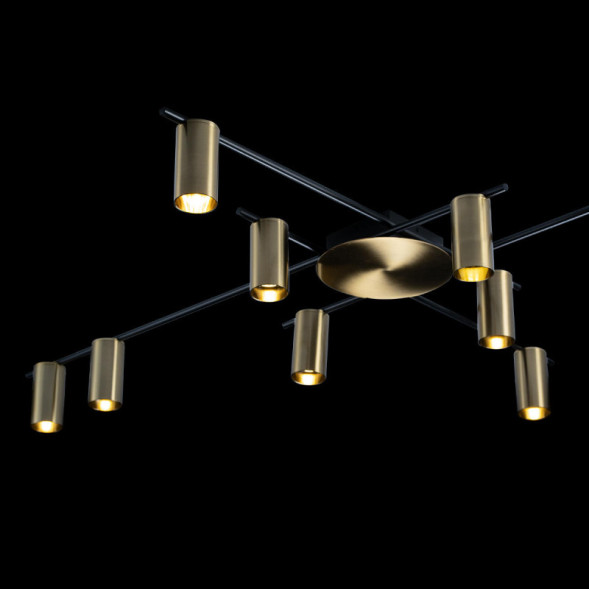 Потолочная люстра LOFT IT Tribes 8120C-10