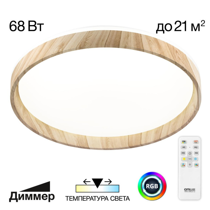 Потолочный светильник Citilux ENZO CL753452G
