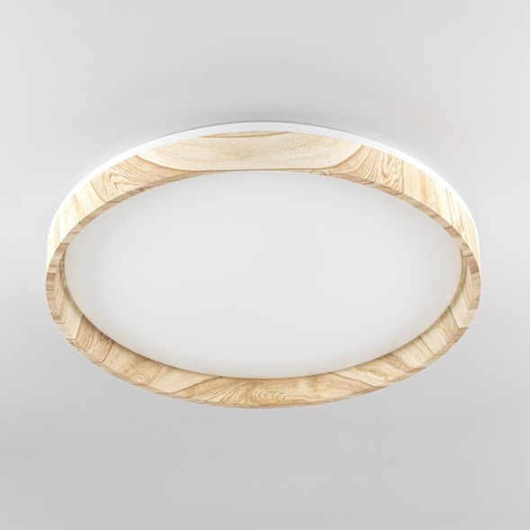 Потолочный светильник Citilux ENZO CL753452G