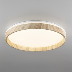 Потолочный светильник Citilux ENZO CL753452G