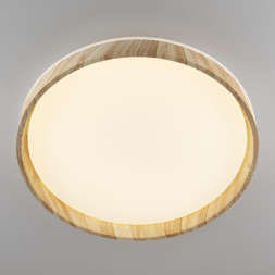 Потолочный светильник Citilux ENZO CL753452G