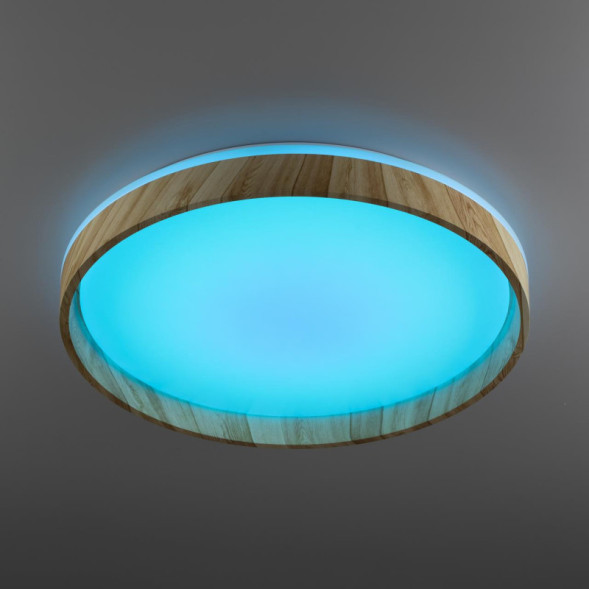 Потолочный светильник Citilux ENZO CL753452G