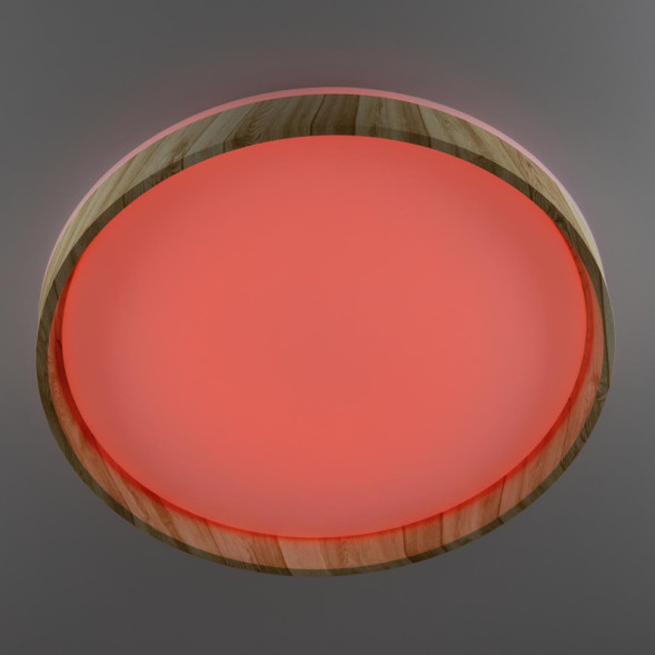 Потолочный светильник Citilux ENZO CL753452G