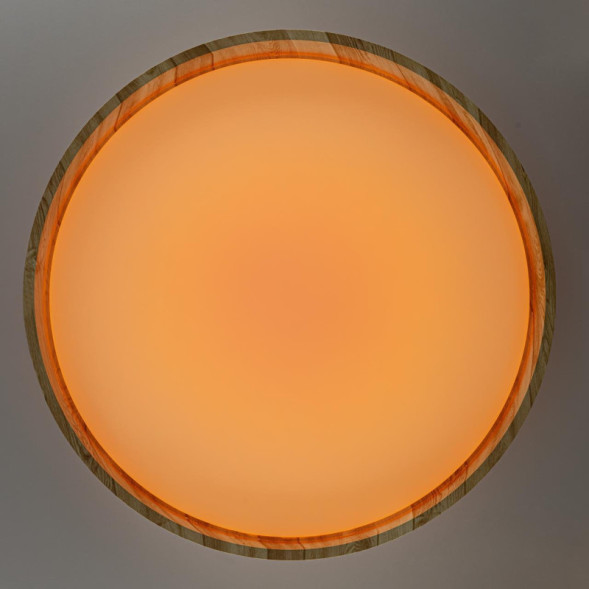 Потолочный светильник Citilux ENZO CL753452G