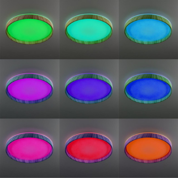 Потолочный светильник Citilux ENZO CL753452G