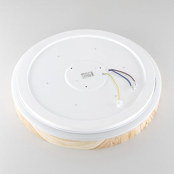 Потолочный светильник Citilux ENZO CL753452G