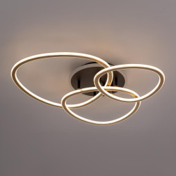 Потолочная люстра Citilux CL215B132 Trio