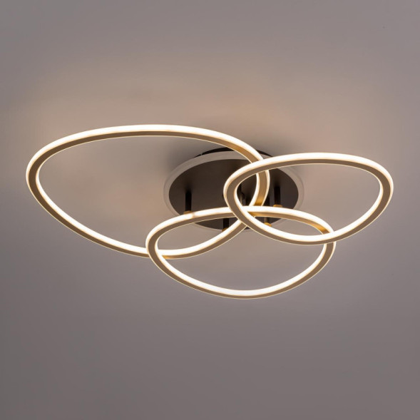 Потолочная люстра Citilux CL215B132 Trio