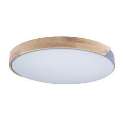 Потолочный светильник LOFT IT AXEL 10004/36 Grey