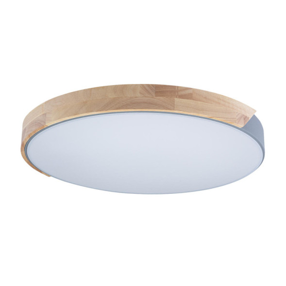 Потолочный светильник LOFT IT AXEL 10004/36 Grey