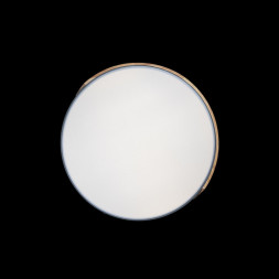 Потолочный светильник LOFT IT AXEL 10004/36 Grey