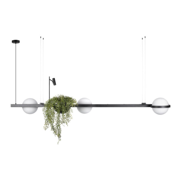 Подвесная люстра LOFT IT JARDIN 10121/C