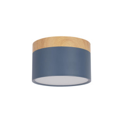 Детский точечный светильник LOFT IT Grape 10162 Blue