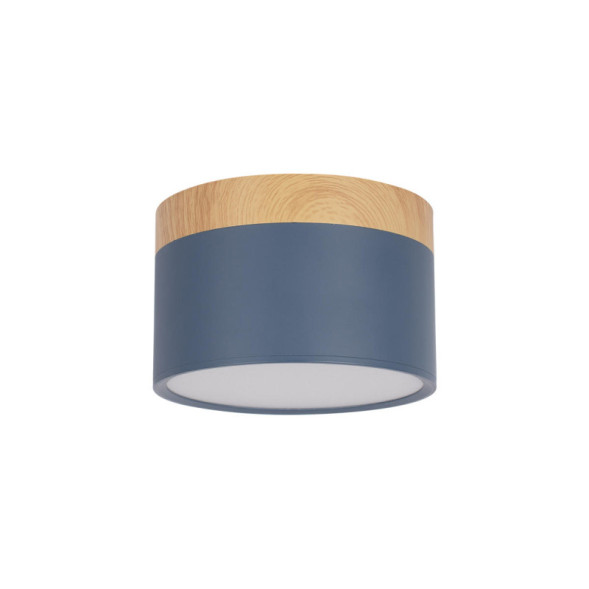 Детский точечный светильник LOFT IT Grape 10162 Blue