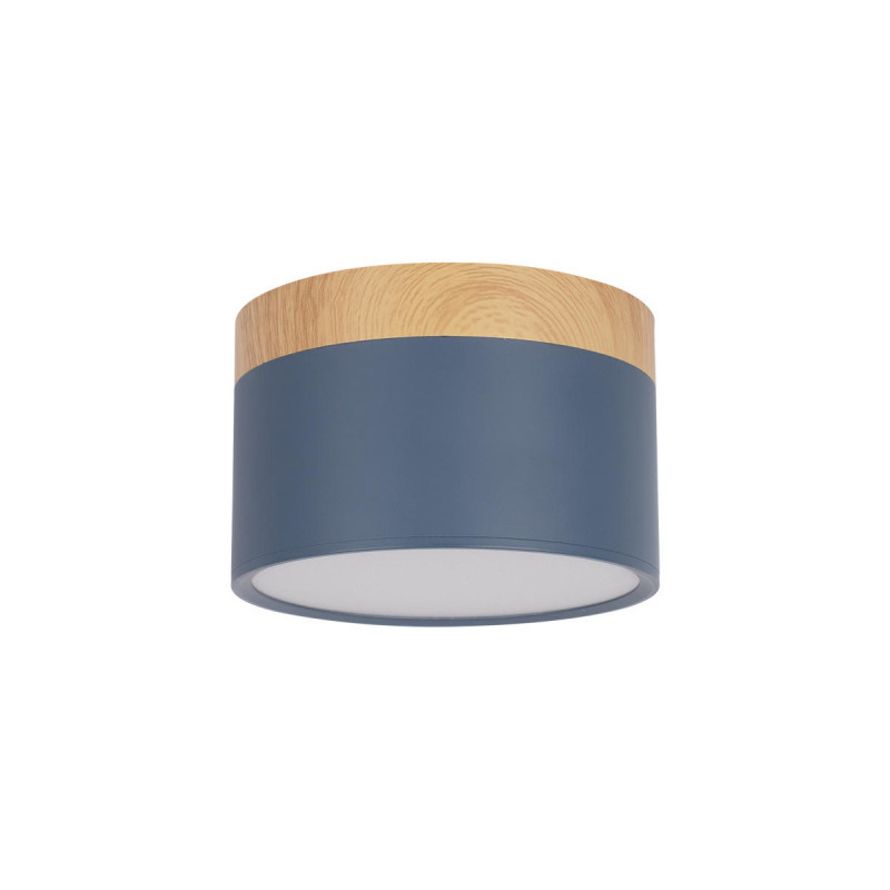 Детский точечный светильник LOFT IT Grape 10162 Blue