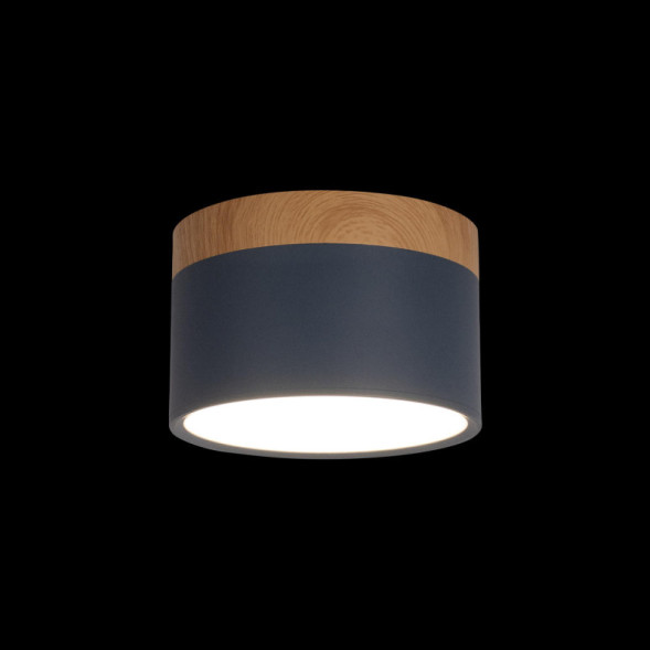 Детский точечный светильник LOFT IT Grape 10162 Blue