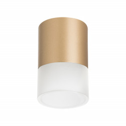 Накладной точечный светильник Lightstar RULLO R349081