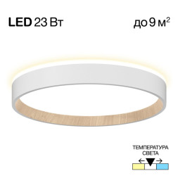 Потолочный светильник Citilux CL750240 ETALON